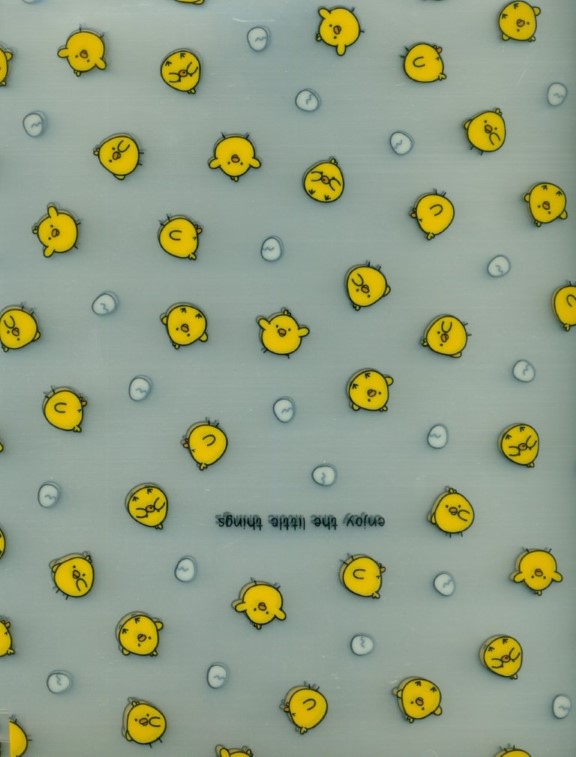 پوشه طرح‌دار 1199 - 0