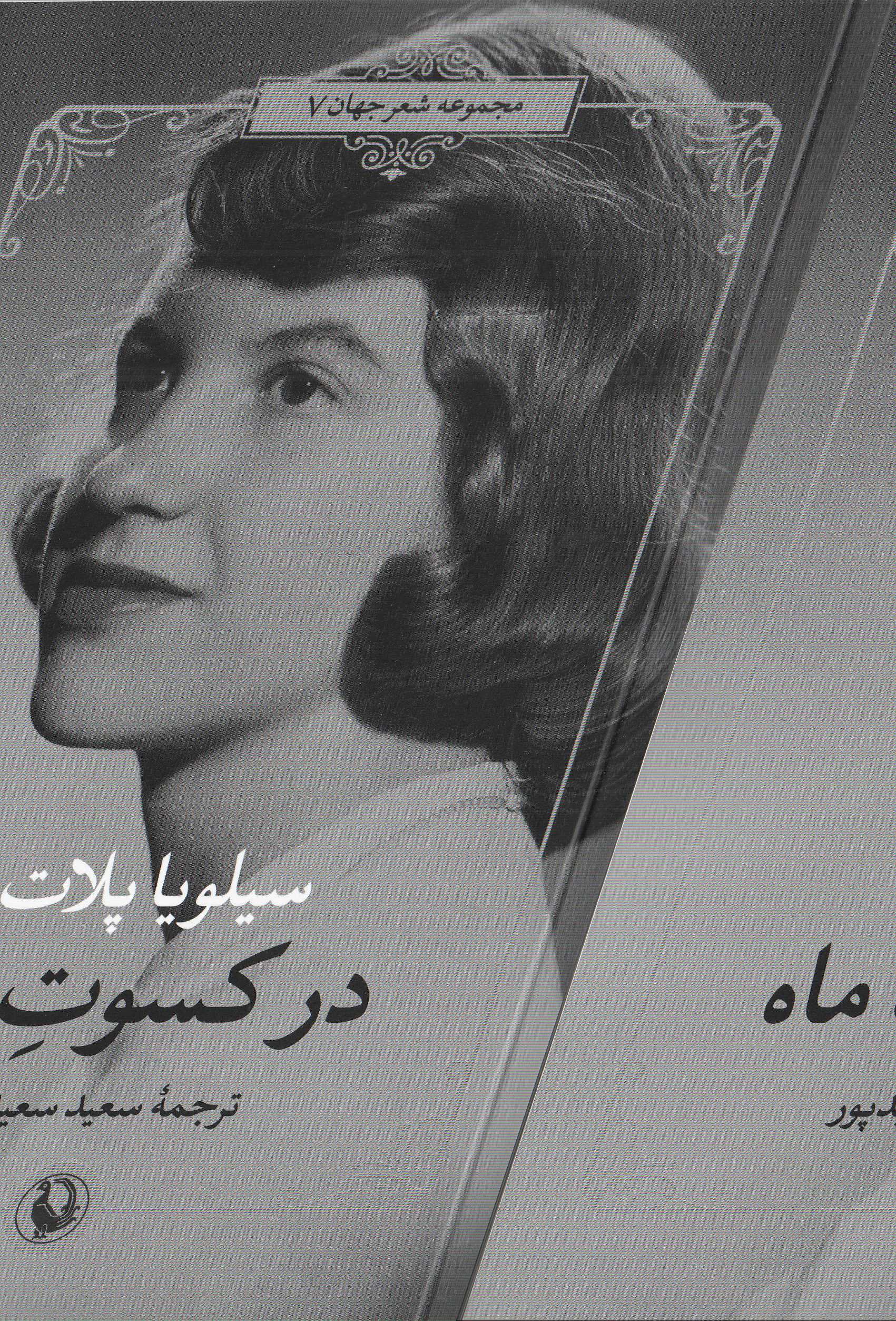 در کسوت ماه - 0
