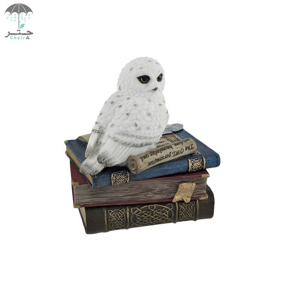 مجسمه ورونس دیزاین مدل جعبه جغد سفید کد WU75510AA - 0