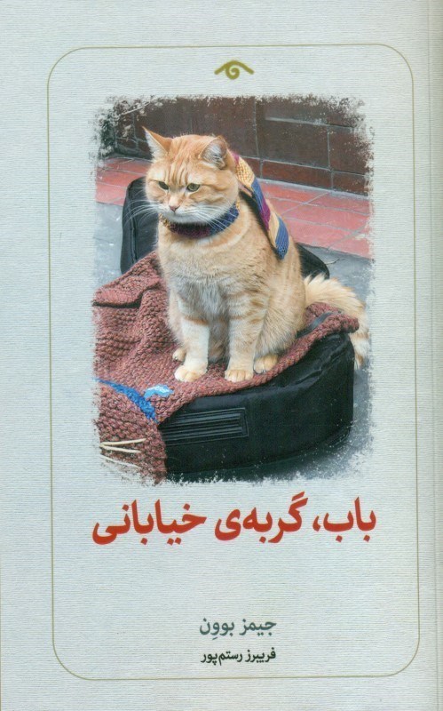 تصویر  باب گربه خیابانی