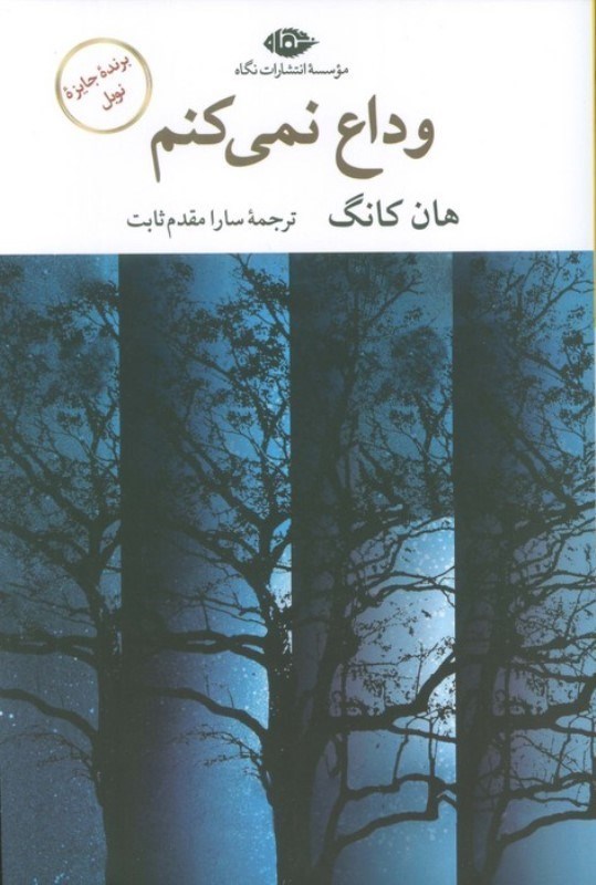 تصویر  وداع نمی‌کنم (مجموعه ادبیات کره)