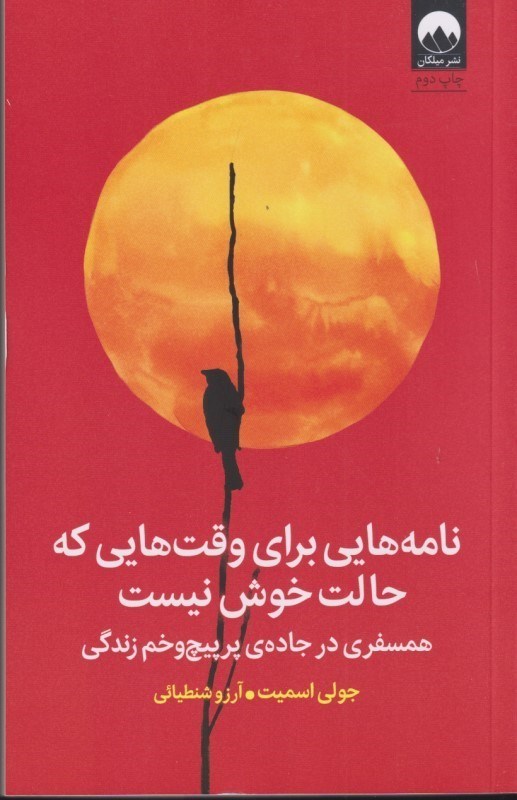 تصویر  نامه‌هایی برای وقت‌هایی که حالت خوش نیست (همسفری در جاده پرپیچ‌وخم زندگی)